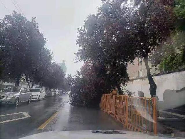 西安丰庆路足浴按摩哪里好(大唐芙蓉园进入“看海”模式) 第16张