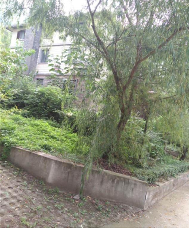 西安橡树苑休闲会所「西安秦岭北麓这些别墅等业主确认」 第6张