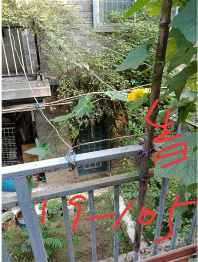 西安橡树苑休闲会所「西安秦岭北麓这些别墅等业主确认」 第9张