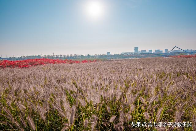 西安哪里有休闲会所「2022年五一西安70个免费帐篷露营」 第202张