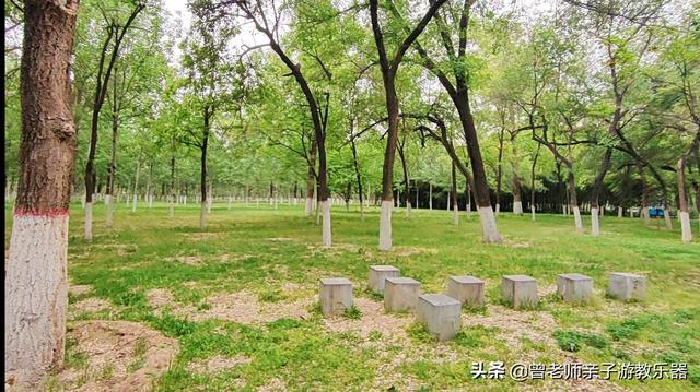 西安哪里有休闲会所「2022年五一西安70个免费帐篷露营」 第304张