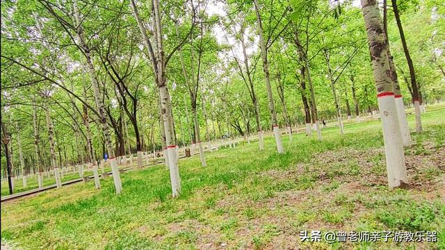 西安哪里有休闲会所「2022年五一西安70个免费帐篷露营」 第306张