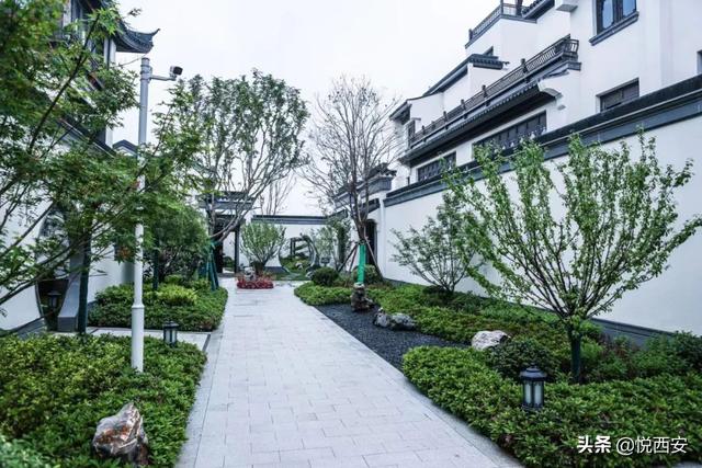 高新西南半小时,西安高新区将迎来大变化 第14张