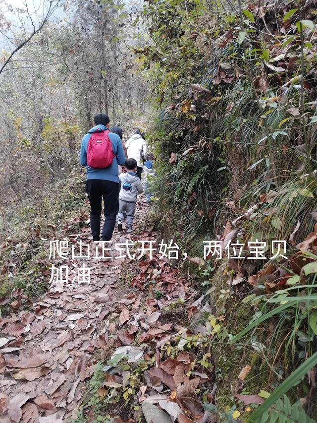 清远观音山在哪里,疑是银河落九天 第12张