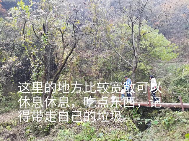 清远观音山在哪里,疑是银河落九天 第17张