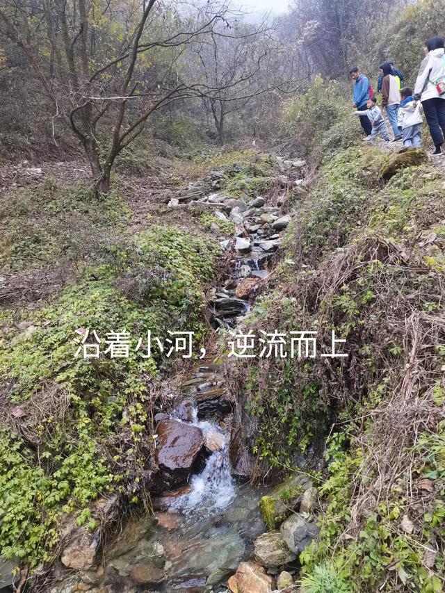 清远观音山在哪里,疑是银河落九天 第18张