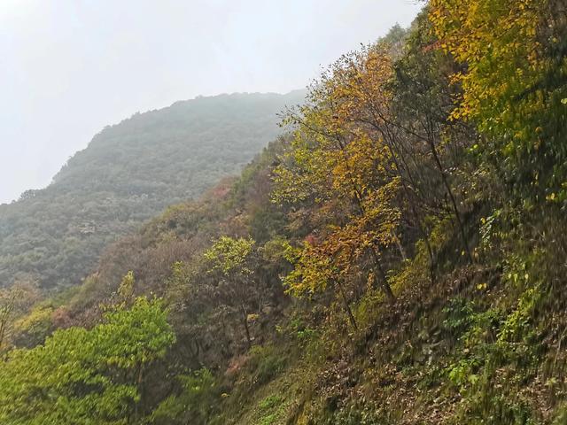 清远观音山在哪里,疑是银河落九天 第23张