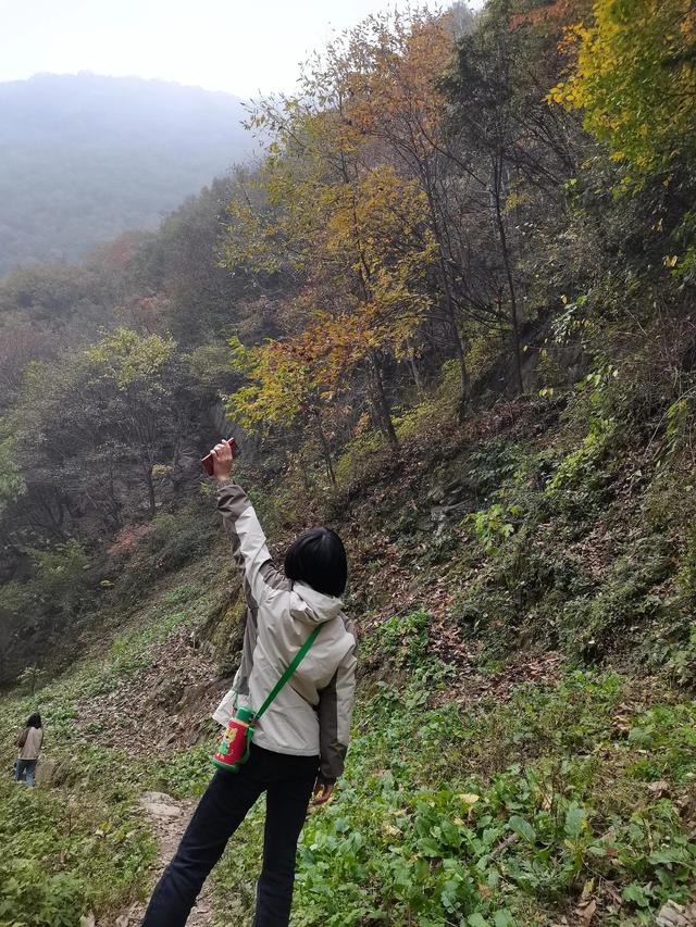 清远观音山在哪里,疑是银河落九天 第22张