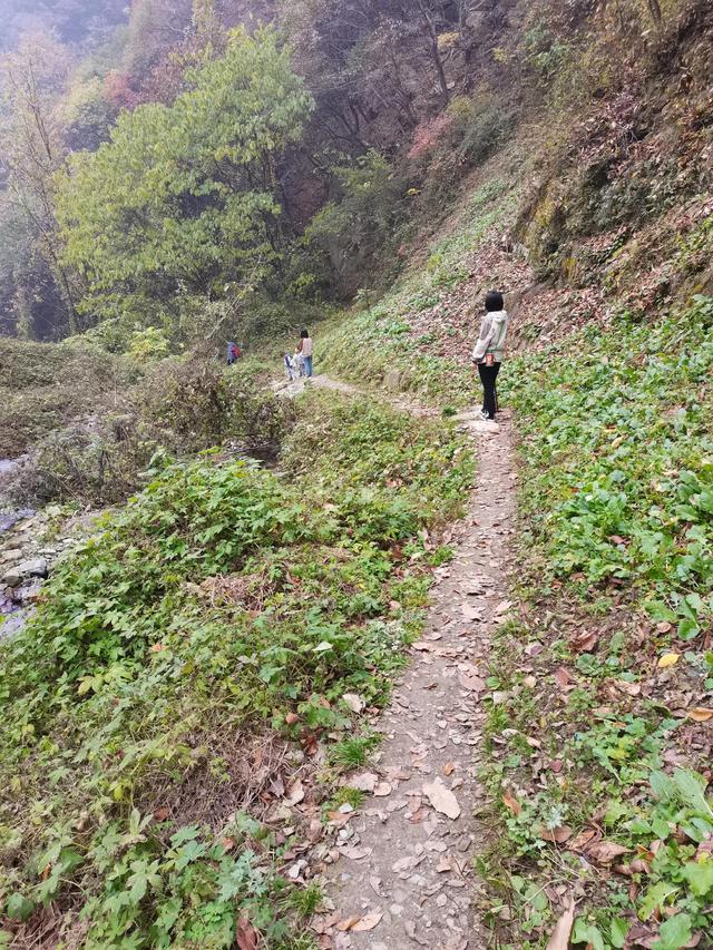清远观音山在哪里,疑是银河落九天 第19张