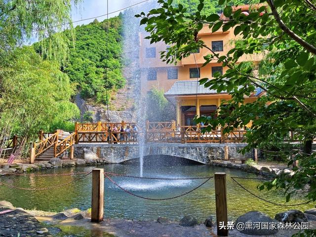 优秀小学生作文,夏天 第4张