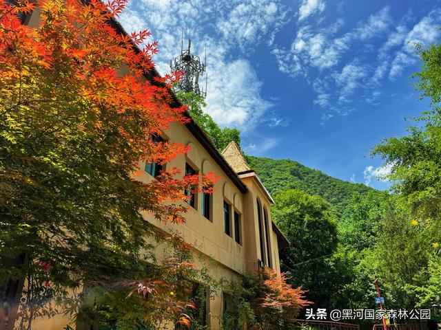 优秀小学生作文,夏天 第5张