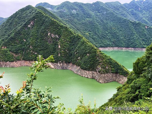 优秀小学生作文,夏天 第9张