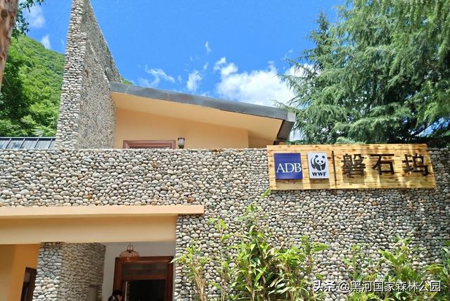 优秀小学生作文,夏天 第16张