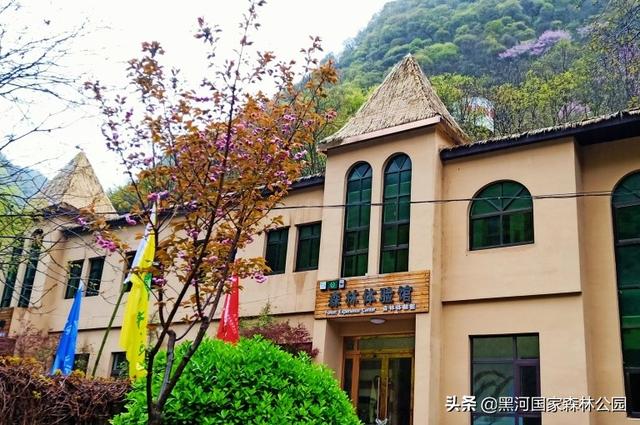 优秀小学生作文,夏天 第13张