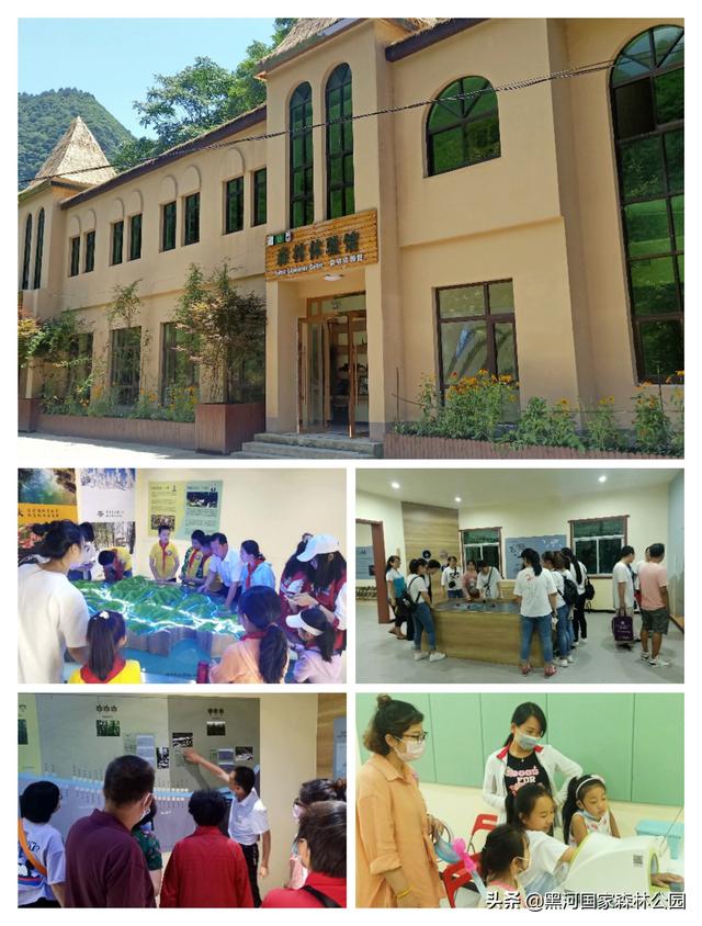 优秀小学生作文,夏天 第21张