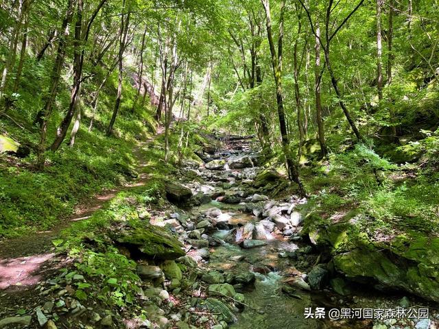 优秀小学生作文,夏天 第24张