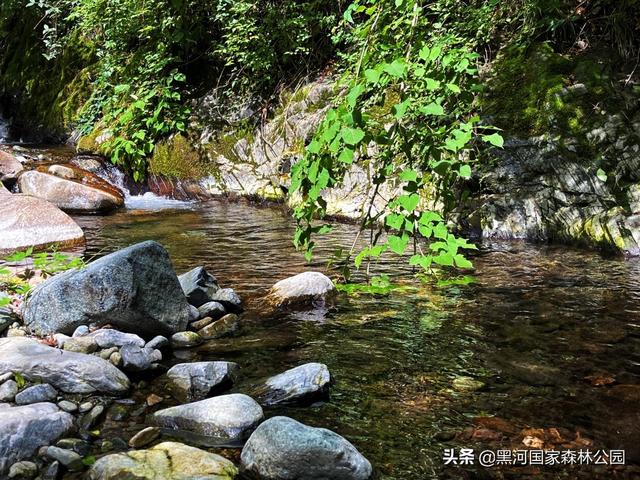 优秀小学生作文,夏天 第25张