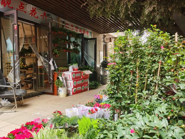 西安离北郊最近的花卉市场在哪块,是隐藏在美邻街负一层的小花园  第3张