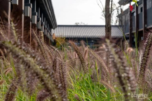 澳嘉设计藏匿在诗经里的5000余㎡民宿酒店,台北有带厨房的酒店或民宿吗 第2张