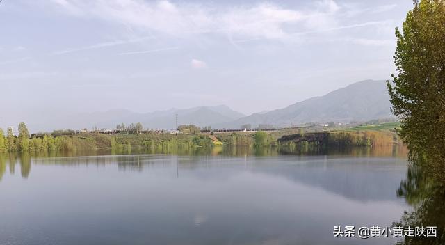 西安秦岭脚下小山村,赏腊梅花淡淡的腊梅花淡淡的清香 第2张