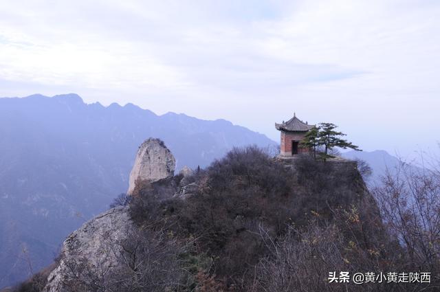 西安秦岭脚下小山村,赏腊梅花淡淡的腊梅花淡淡的清香 第12张