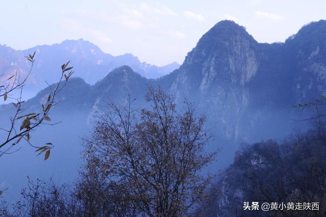 西安秦岭脚下小山村,赏腊梅花淡淡的腊梅花淡淡的清香 第11张