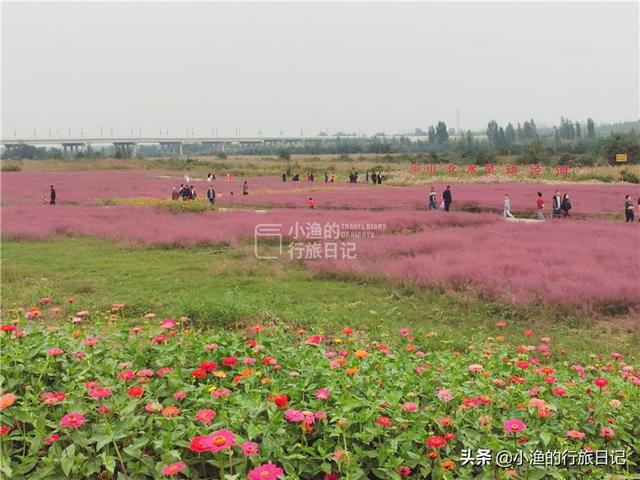 西安这条网红花海、主题乐园、主题乐园、民俗小镇全都有 第1张