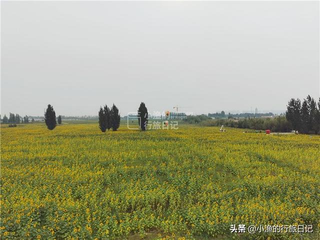西安这条网红花海、主题乐园、主题乐园、民俗小镇全都有 第6张