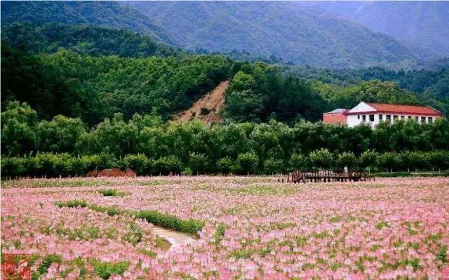 西安旅游攻略|西安旅游攻略 第45张