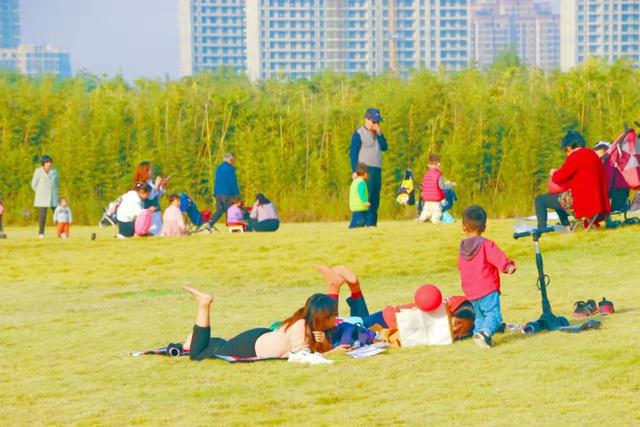 西安的春日之旅  第12张