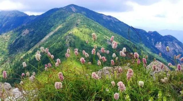 西安旅游攻略|西安旅游攻略|西安旅游攻略|西安旅游攻略 第8张