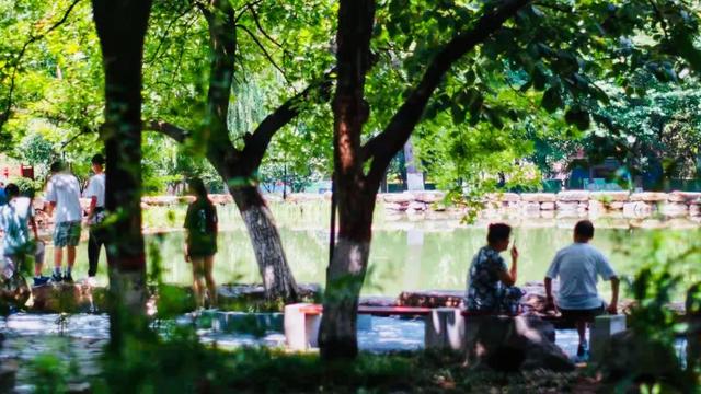 摄影师镜头下的西安，美得不可方物  第11张