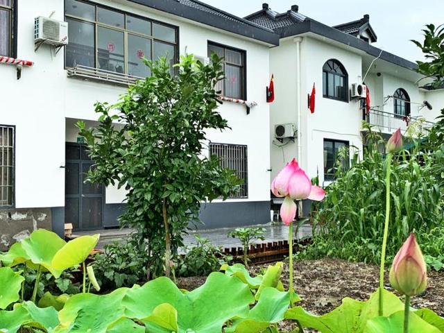 大庆市乡村振兴示范村:乡村振兴示范村建设 第2张