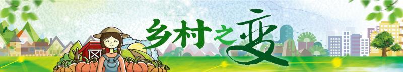 大庆市乡村振兴示范村:乡村振兴示范村建设 第1张