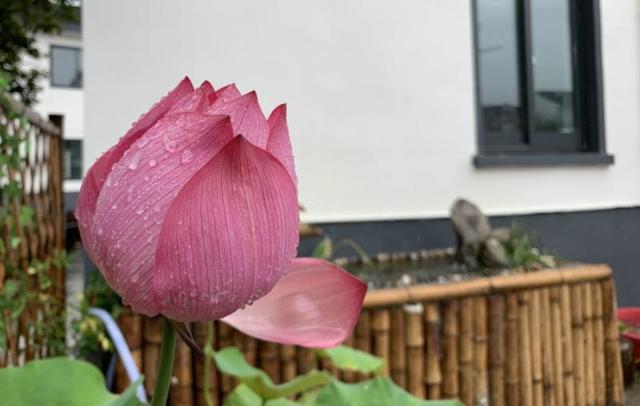 大庆市乡村振兴示范村:乡村振兴示范村建设 第10张