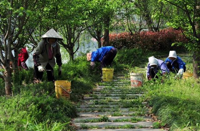 大庆市乡村振兴示范村:乡村振兴示范村建设 第12张