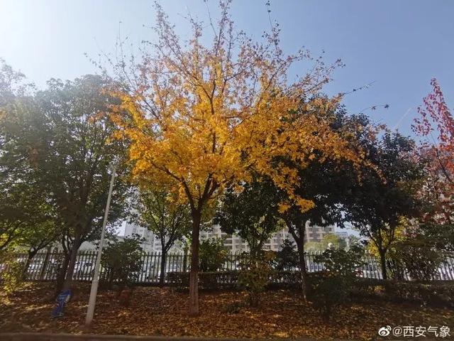 供暖后室温不达标该怎么办? 第2张