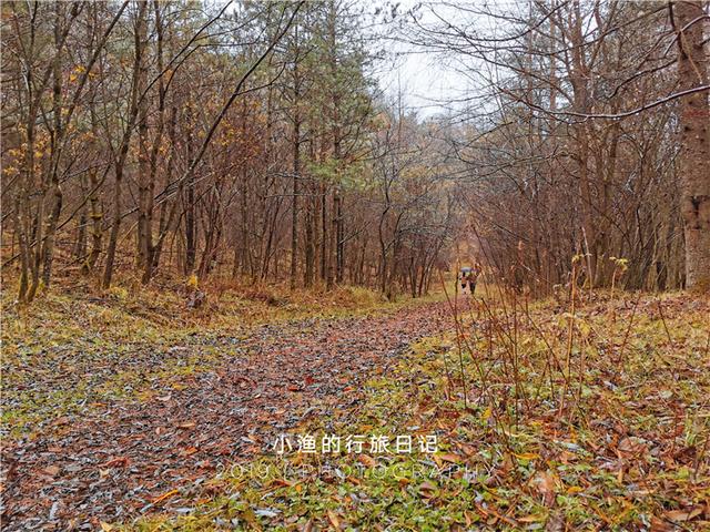 小龙女可以7年不见,你能么? 第7张