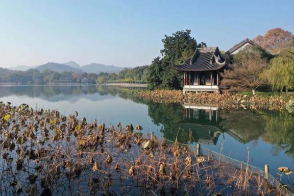 西湖赏鸟正当时,最后一个月,西湖这份美 第3张