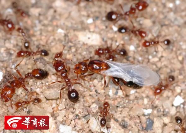 2018年辽宁省各区市疫区公示 第5张