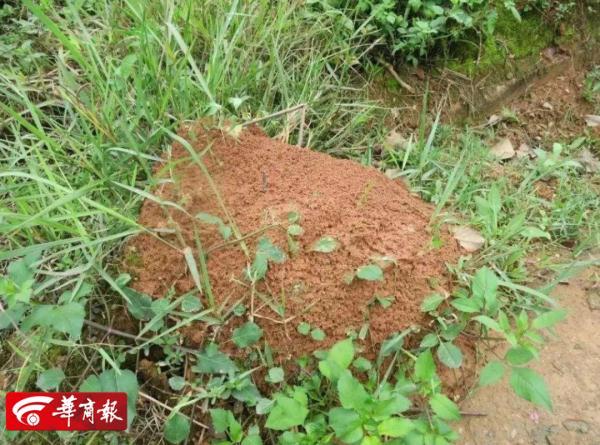 2018年辽宁省各区市疫区公示 第6张