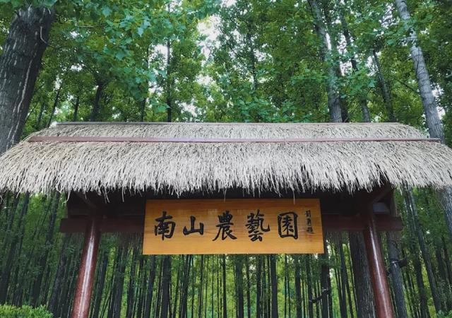 西安旅游攻略|西安旅游攻略|西安旅游攻略 第2张