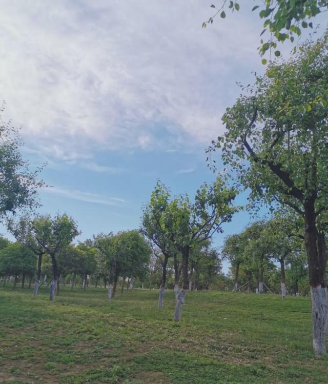 西安旅游攻略|西安旅游攻略|西安旅游攻略 第4张
