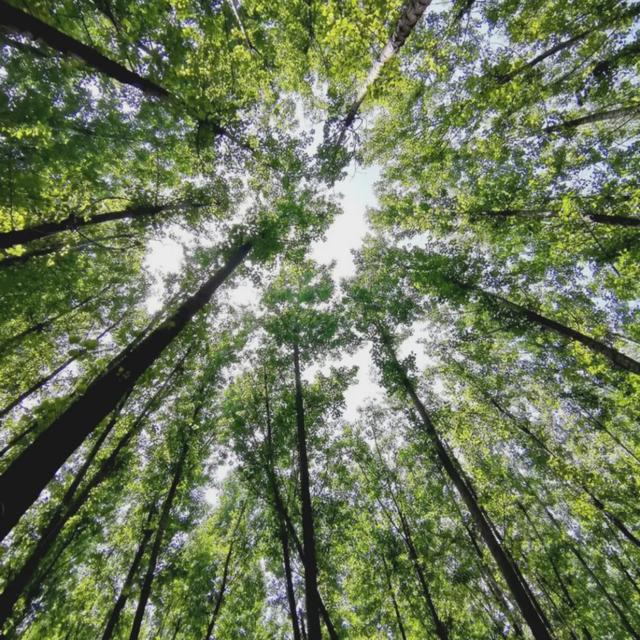 西安旅游攻略|西安旅游攻略|西安旅游攻略 第6张