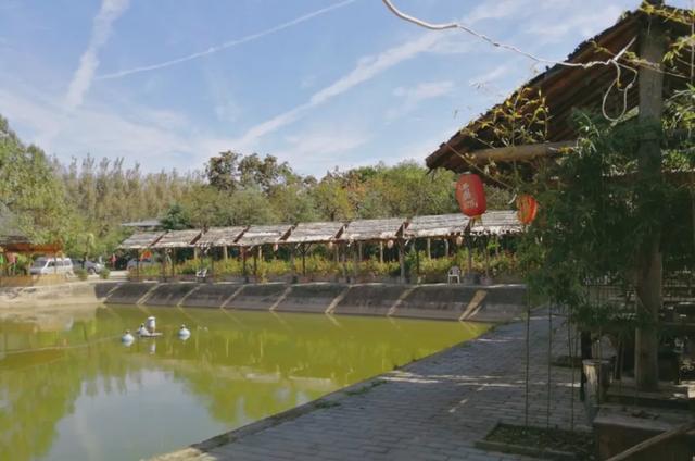 西安旅游攻略|西安旅游攻略|西安旅游攻略 第30张