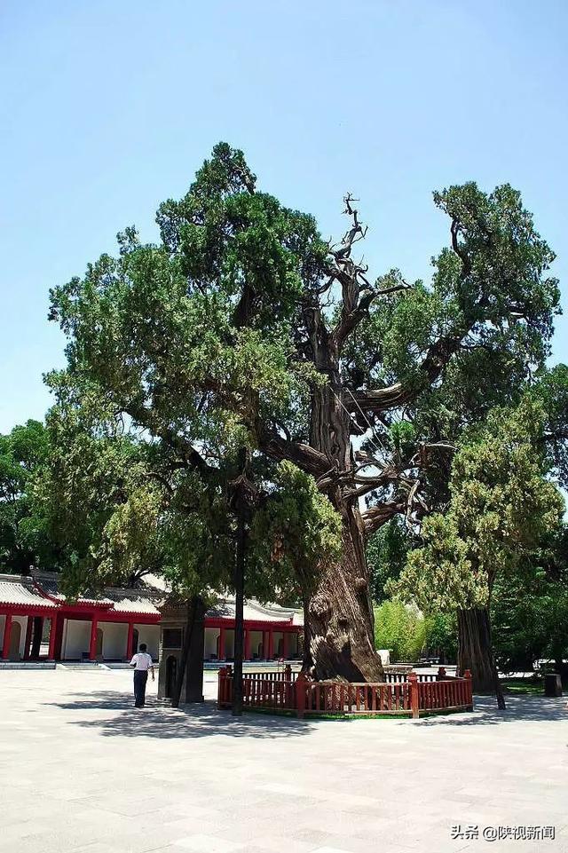 中国的历史可以追溯到5000年前或者更早! 第6张