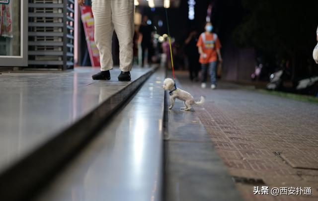 西安高新打工人的加油站高新打工人的加油站包围大都荟的夜摊 第2张