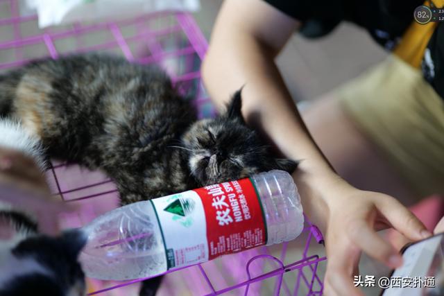 西安高新打工人的加油站高新打工人的加油站包围大都荟的夜摊 第7张