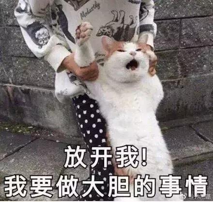 西安旅游攻略|西安三家水上乐园攻略|华夏文旅水世界 第1张