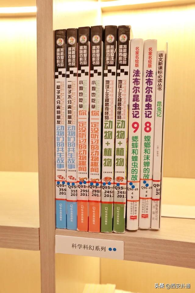 西安的图书馆,是我去过最好玩的地方 第32张